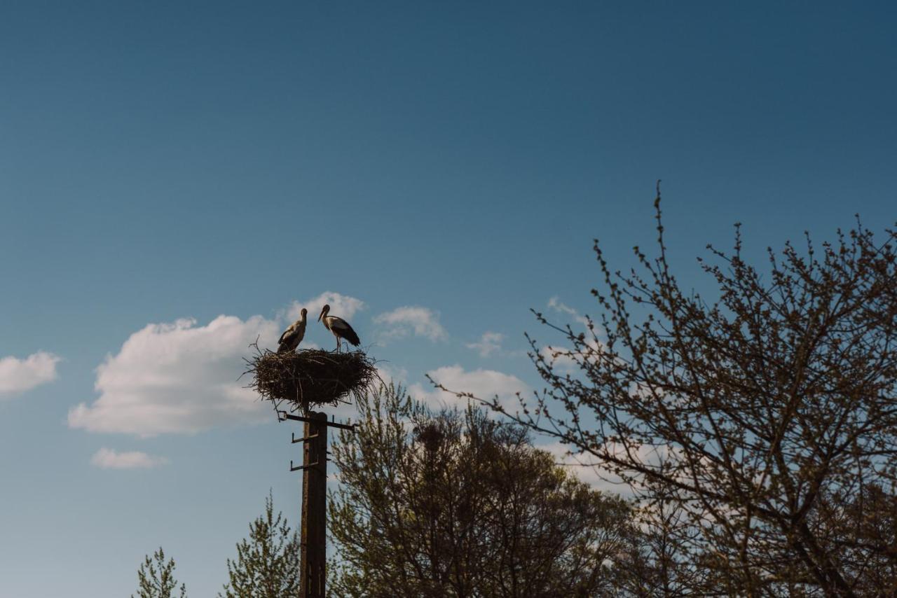 Jurty Z Widokiem, Prywatna Balia- Dzikolas Glamping Krasnobrod Bagian luar foto